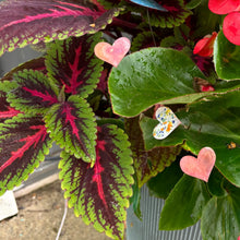 Load image into Gallery viewer, Small Copper Heart Picks